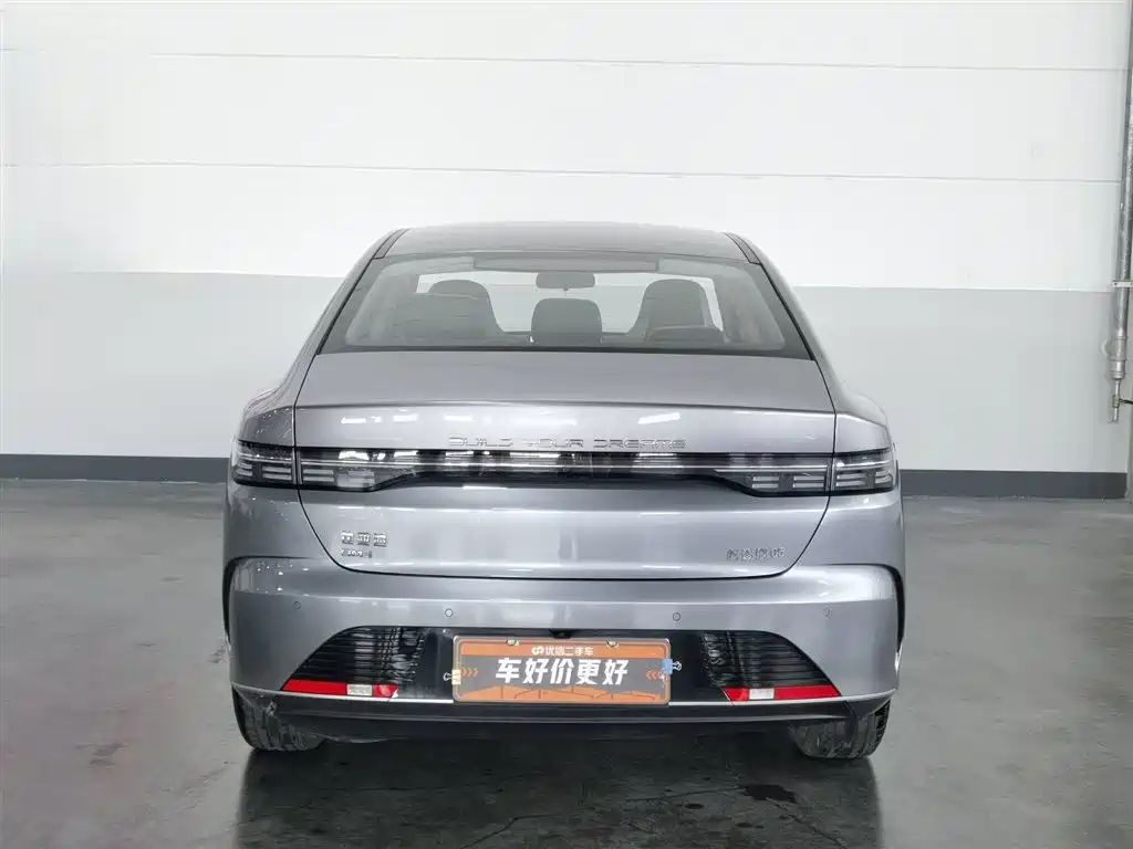 BYD Destroyer 05 2023 Champion Edition DM-i 55KM Premium фото 4