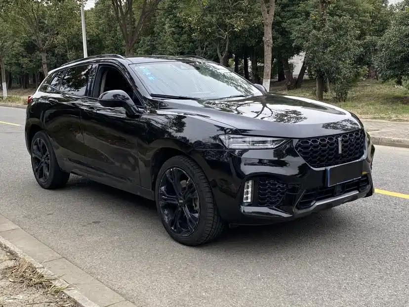 WEI PAI WEI BRAND VV7