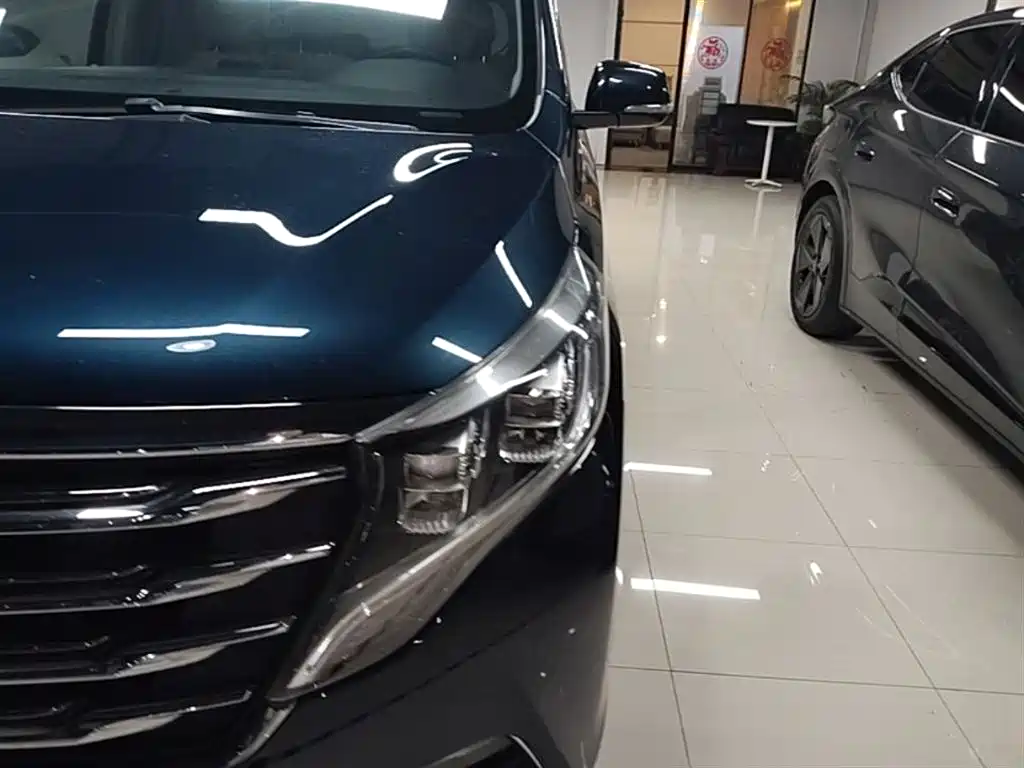 GAC Trumpchi Trumpchi M8 2018 320T Premium Edition фото 24