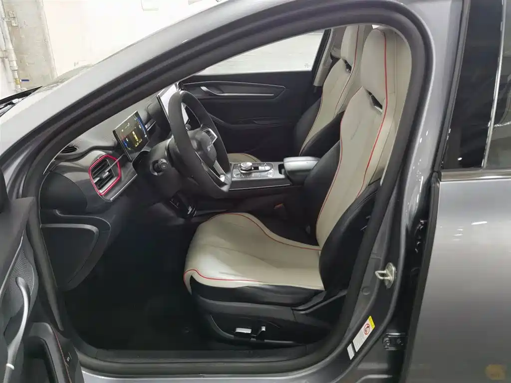 BYD Destroyer 05 2023 Champion Edition DM-i 55KM Premium фото 10