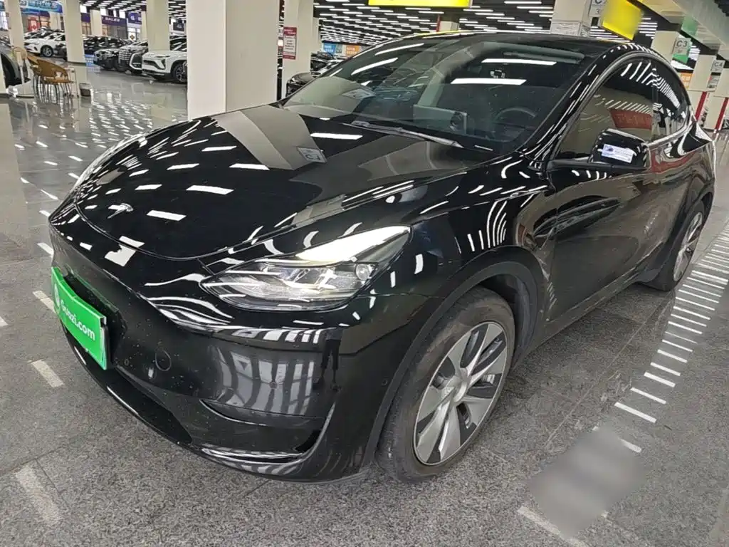 Tesla Model Y 2022 Rear-Wheel Drive Version