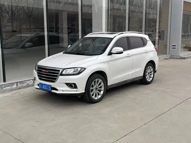 HAVAL H2