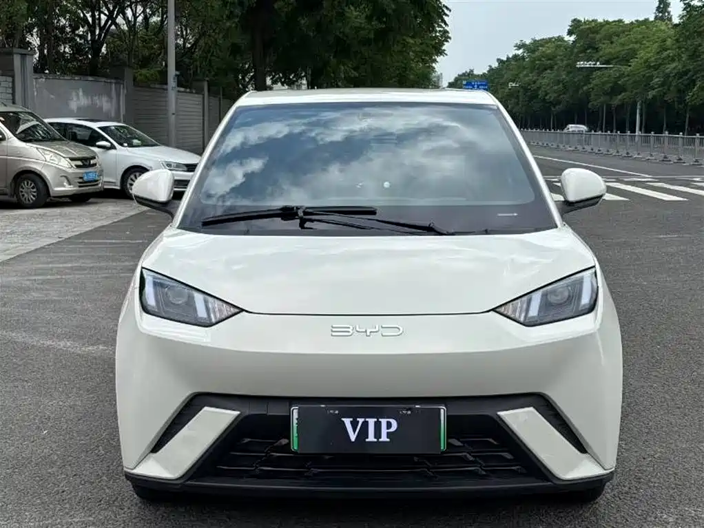 BYD Seagull 2024 Glory Edition 305km Freedom Edition фото 2