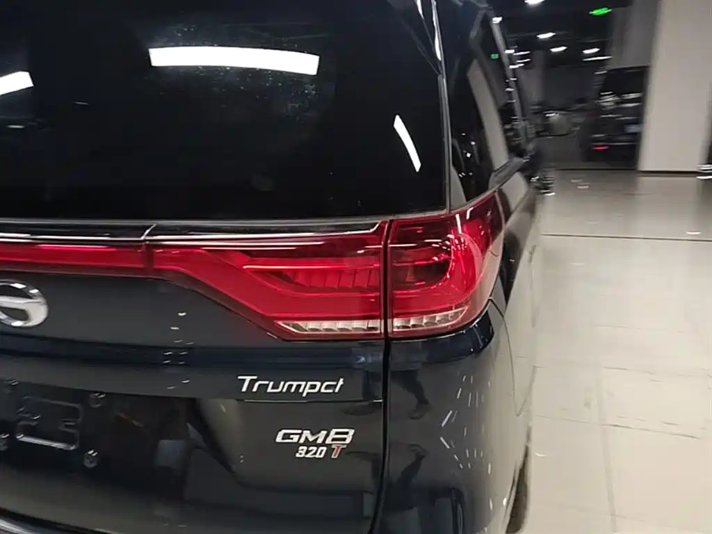 GAC Trumpchi Trumpchi M8 2018 320T Premium Edition фото 8