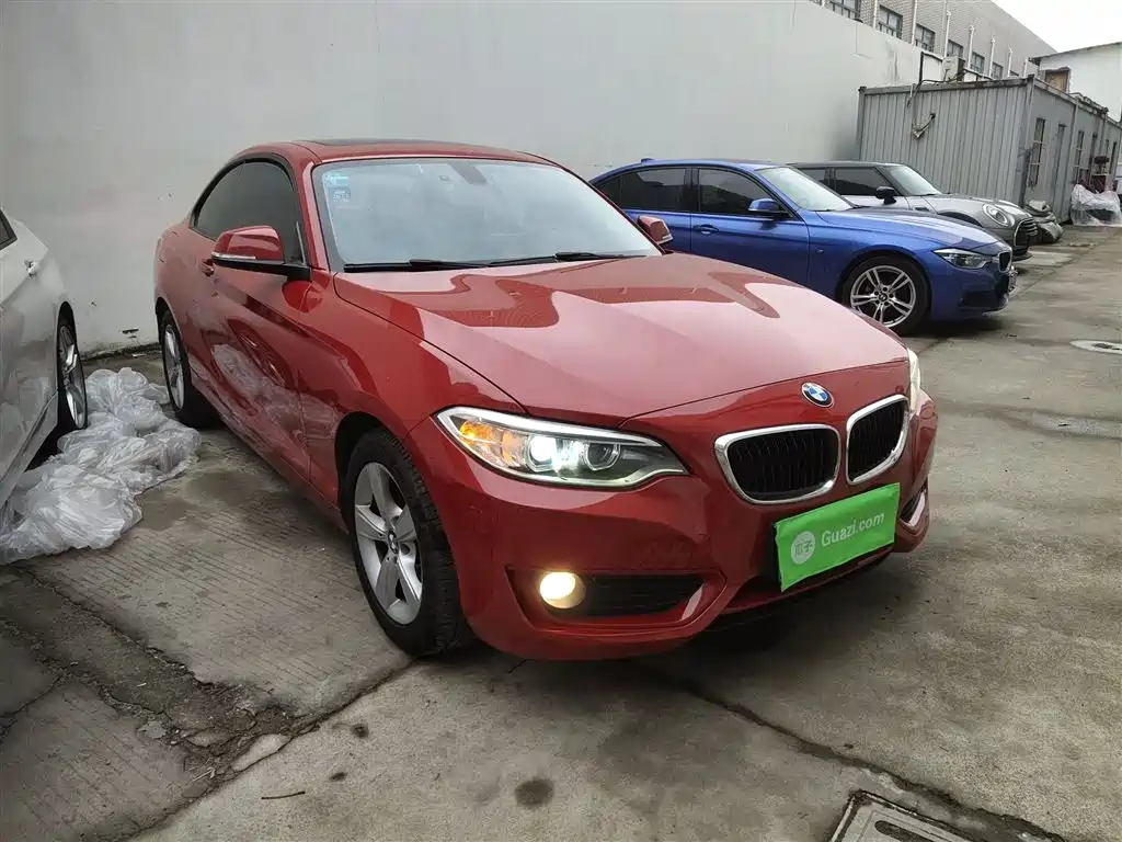 BMW 2 Series (Import) 2014 220i Leading фото 4
