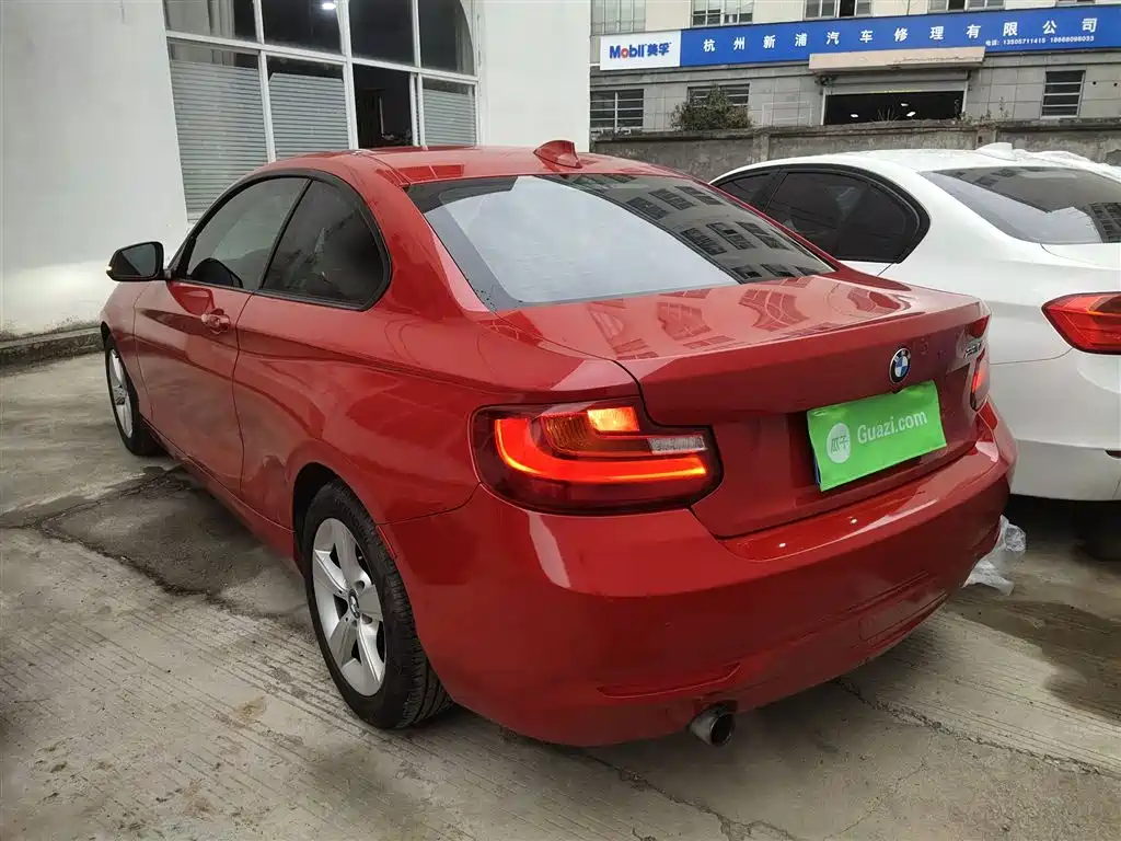 BMW 2 Series (Import) 2014 220i Leading фото 5