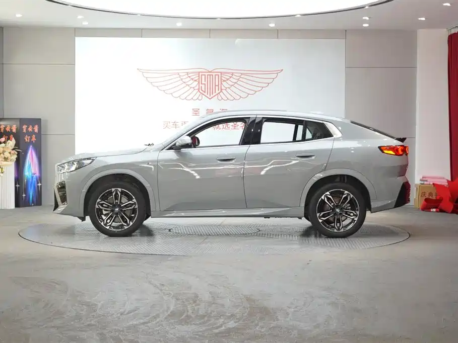 BMW X2 (Import) 2024 sDrive25i M Sport Package фото 4