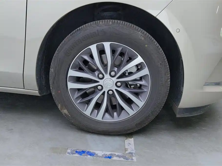 Buick GL8 2022 ES Landmark 653T Premium фото 6
