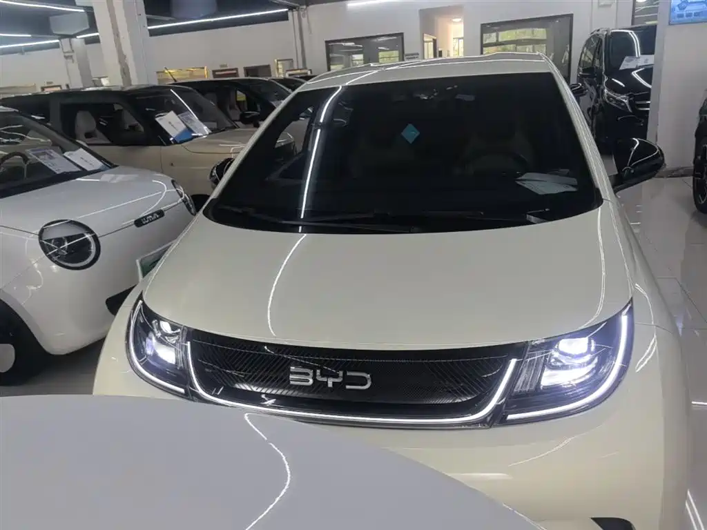 BYD Dolphin 2025 420km Freedom Edition фото 3