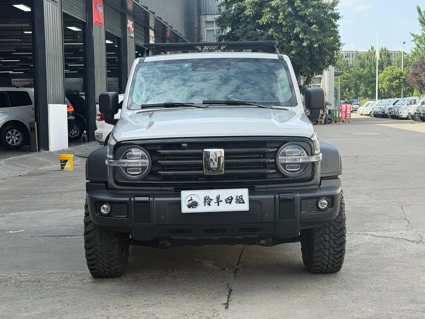 Tank 300 2023 Off-Road Edition 2.0T Conqueror фото 2