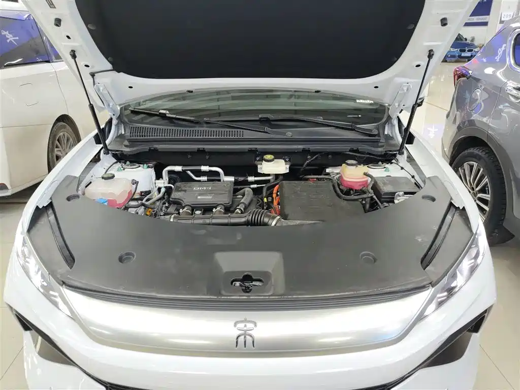 BYD Song Pro New Energy 2025 2nd Generation Smart Drive Edition DM-i 115KM Surpassing Type фото 16