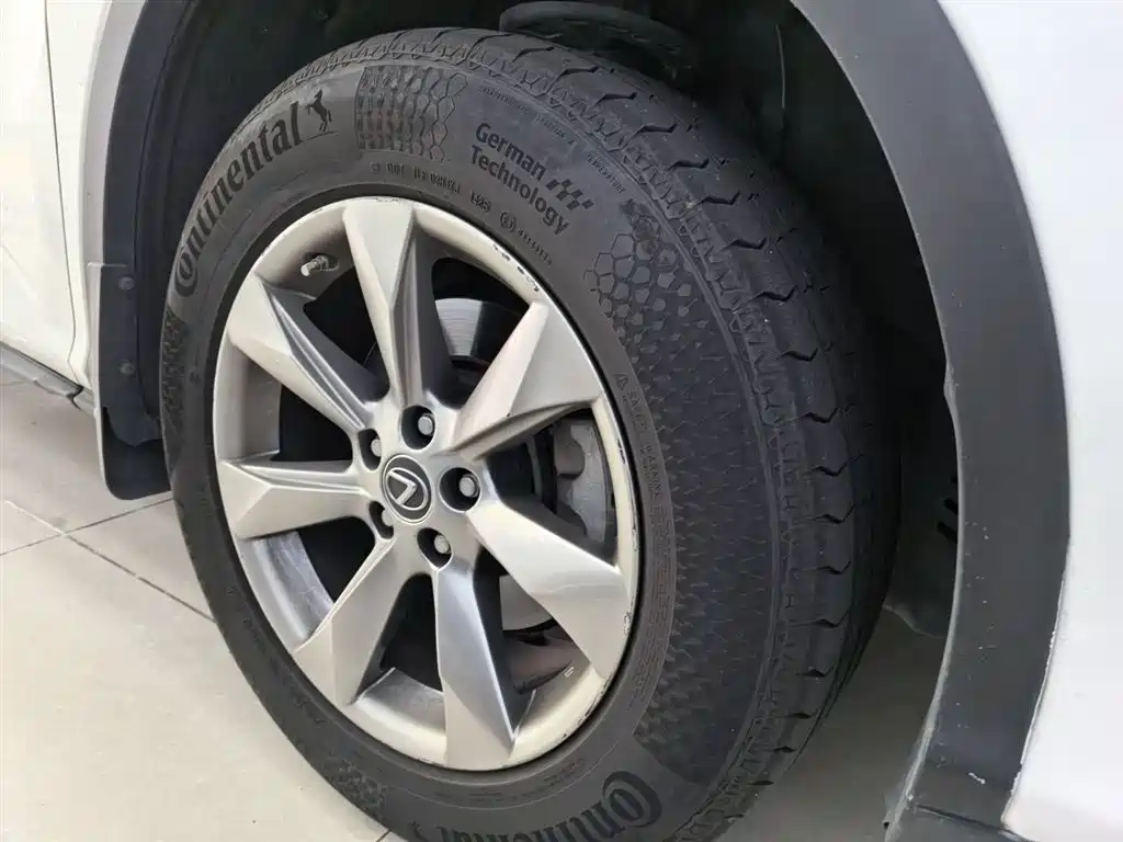 Lexus RX 2016 300 2WD Elite Edition China VI фото 3