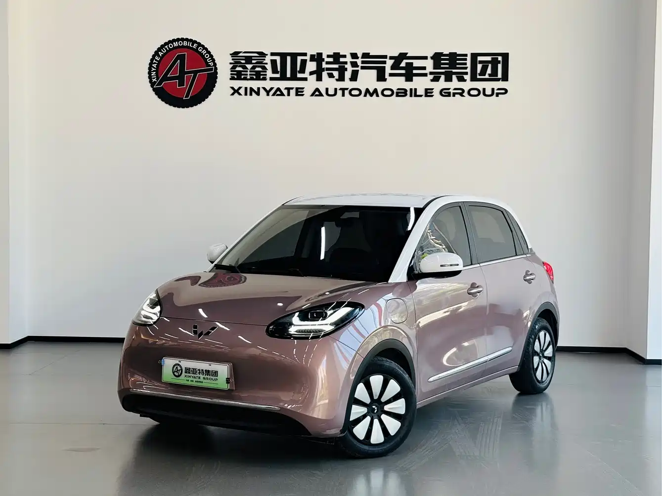 Wuling Motors Wuling Bingo 2023 2023 333km Smart Connectivity Edition