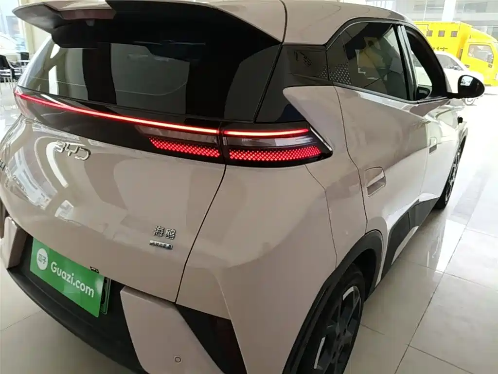 BYD Seagull 2025 Smart Drive Edition 305km Freedom Version фото 8