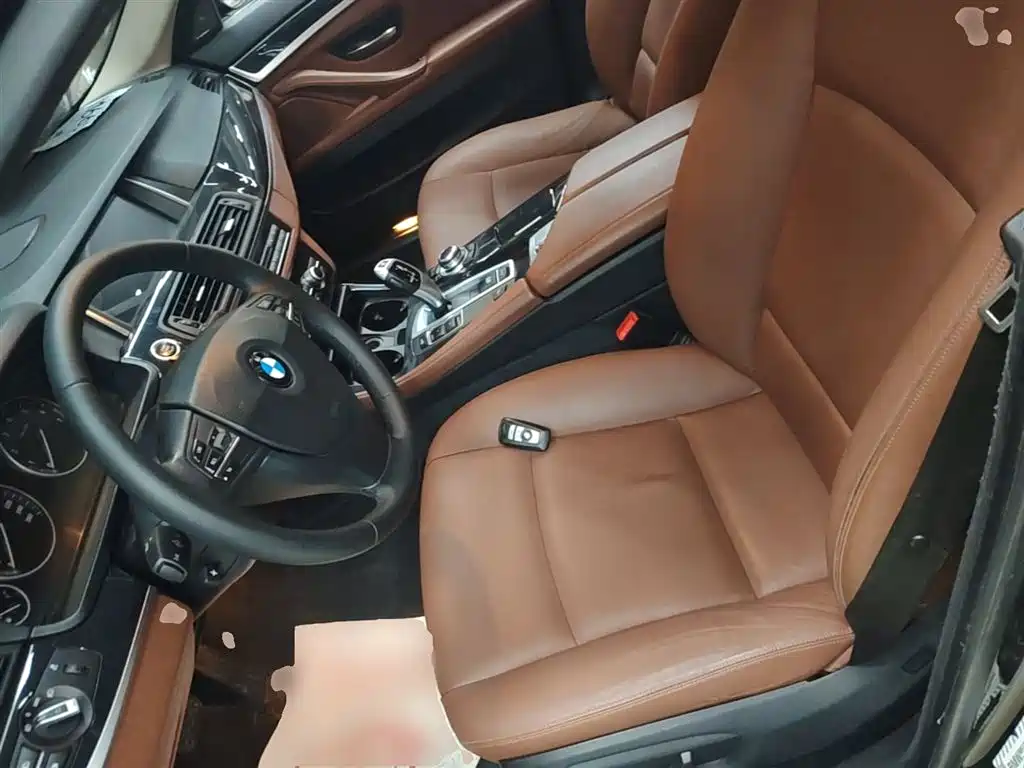 BMW 5 Series (Import) 2015 520i Elegance фото 15