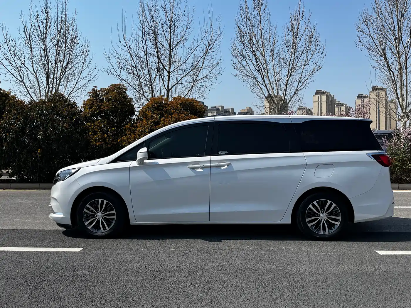 Buick GL8 2022 ES Landmark 653T Comfort фото 18