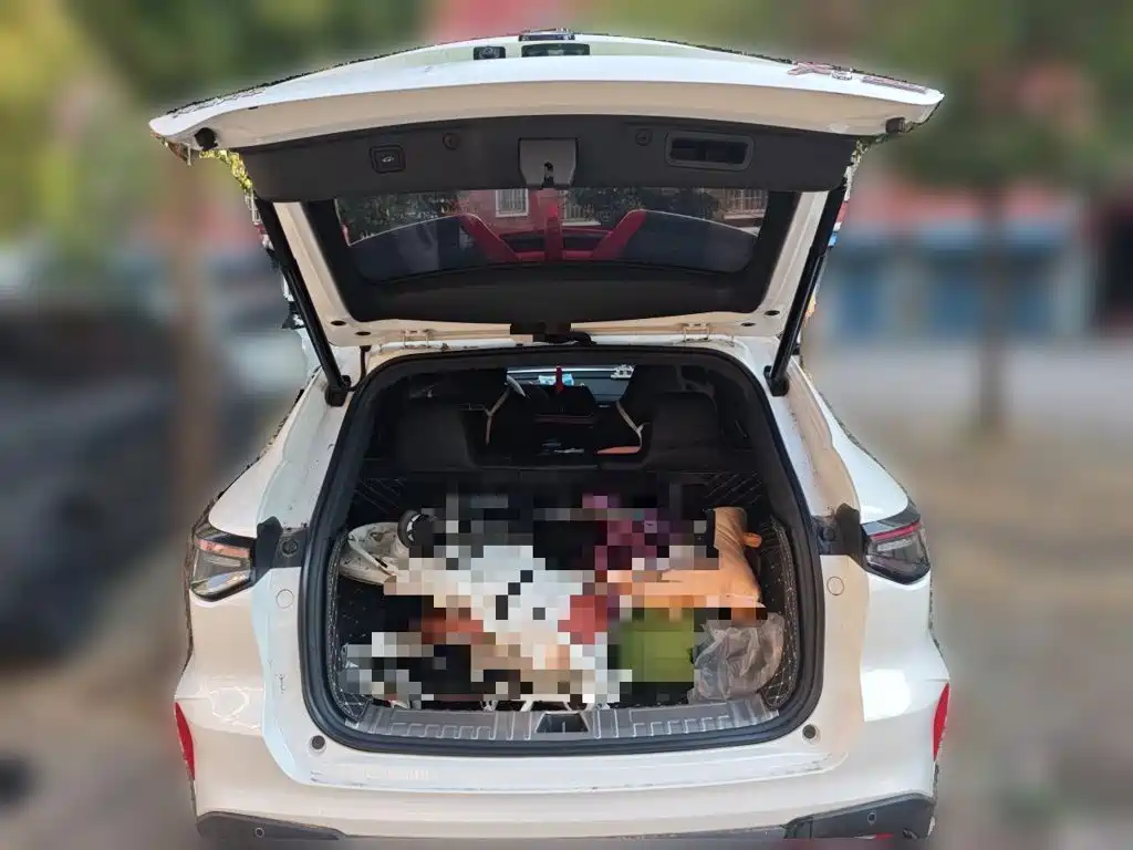 Changan X5 PLUS 2024 2024 1.5T DCT Excellence Model