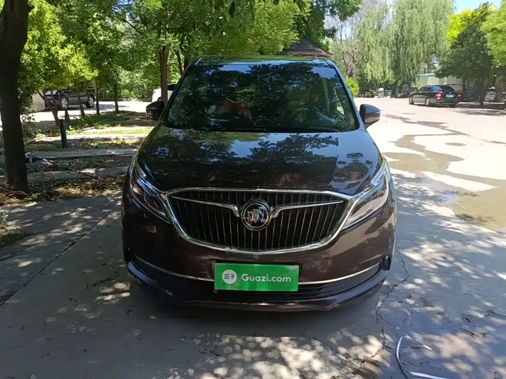Buick GL8 2017 ES 28T Flagship China V фото 3