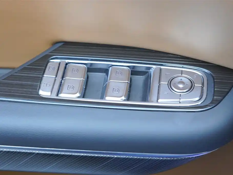 Hongqi HQ9 PHEV 2024 Model 2.0T AWD Business Edition фото 11