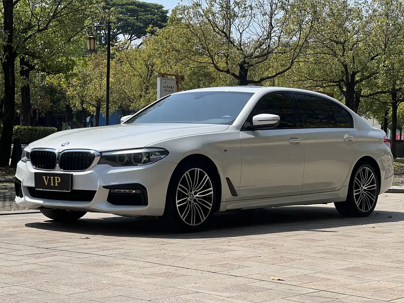 BMW 5 Series 2019 530Li Leading M Sport Package