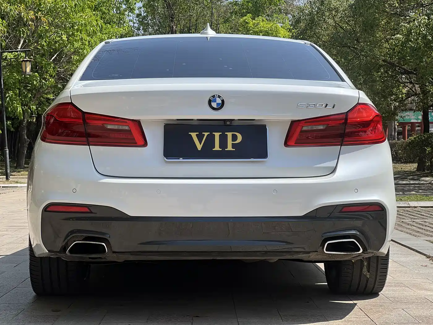 BMW 5 Series 2019 530Li Leading M Sport Package фото 21