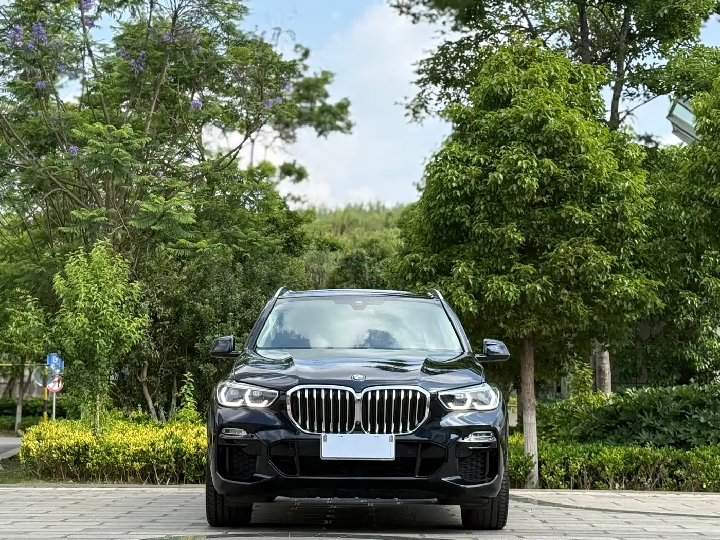 BMW X5 (Import) 2020 xDrive40i M Sport Package фото 2