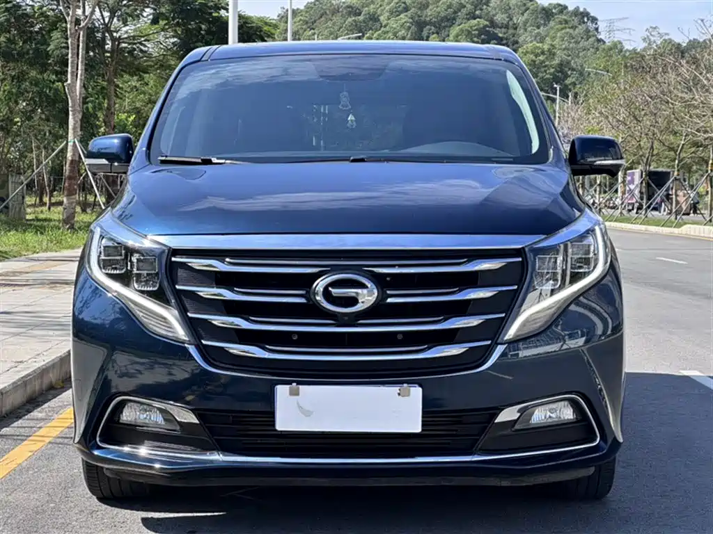 GAC Trumpchi Trumpchi M8 2019 320T Ultimate Edition фото 21