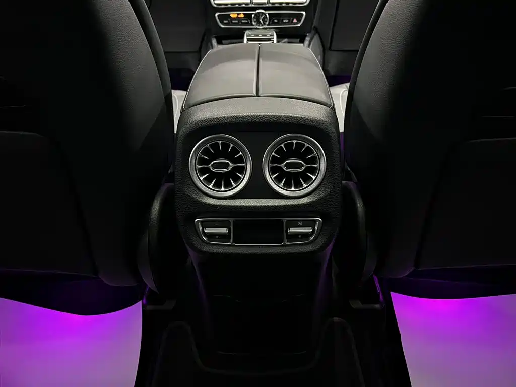 Mercedes-Benz G-Class 2019 G 500 фото 13