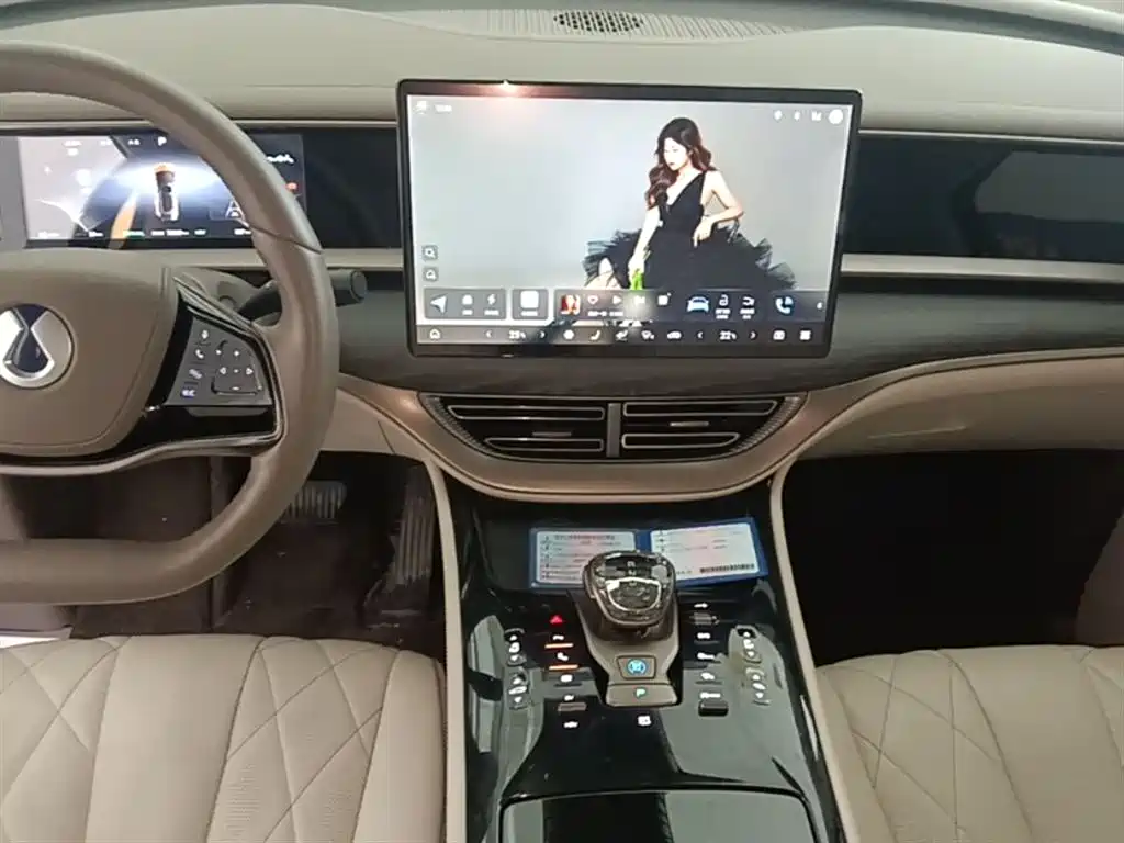 Denza D9 2022 DM-i 970 All-Wheel Drive Honor Edition фото 13