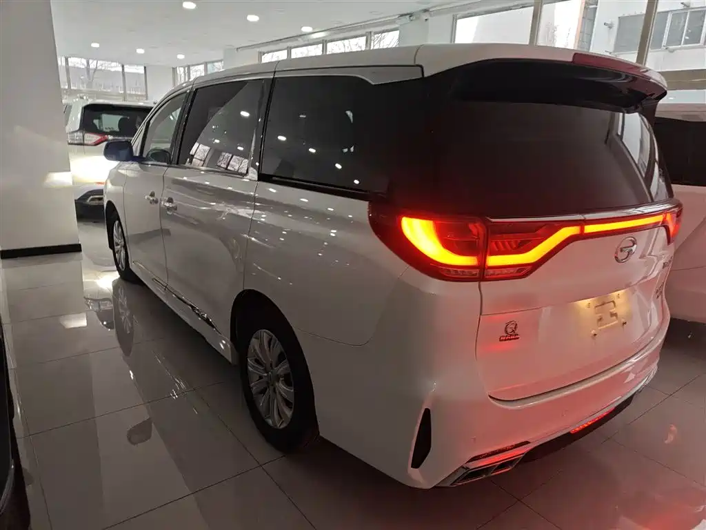 GAC Trumpchi Trumpchi M8 2020 Pilot 390T Premium Edition фото 5