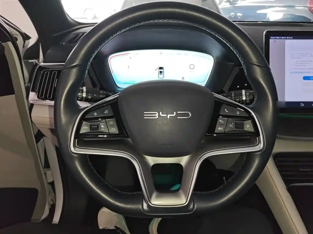 BYD Song PLUS PHEV 2023 Champion Edition DM-i 110KM Flagship PLUS фото 11