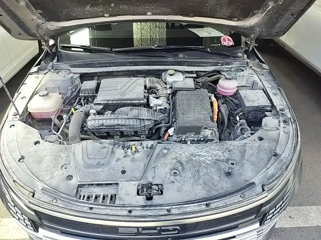 BYD Destroyer 05 2024 Glory Edition DM-i 55KM Luxury фото 20