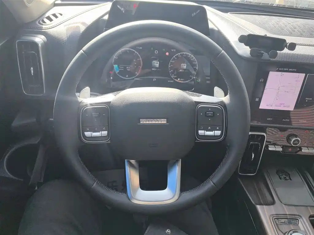 Haval Big Dog 2024 1.5T DCT Border Collie Edition фото 11