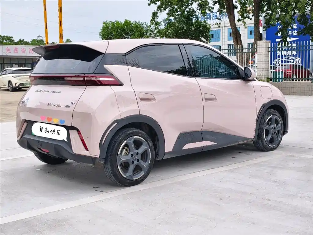 BYD Seagull 2024 Glory Edition 305km Freedom Edition фото 9