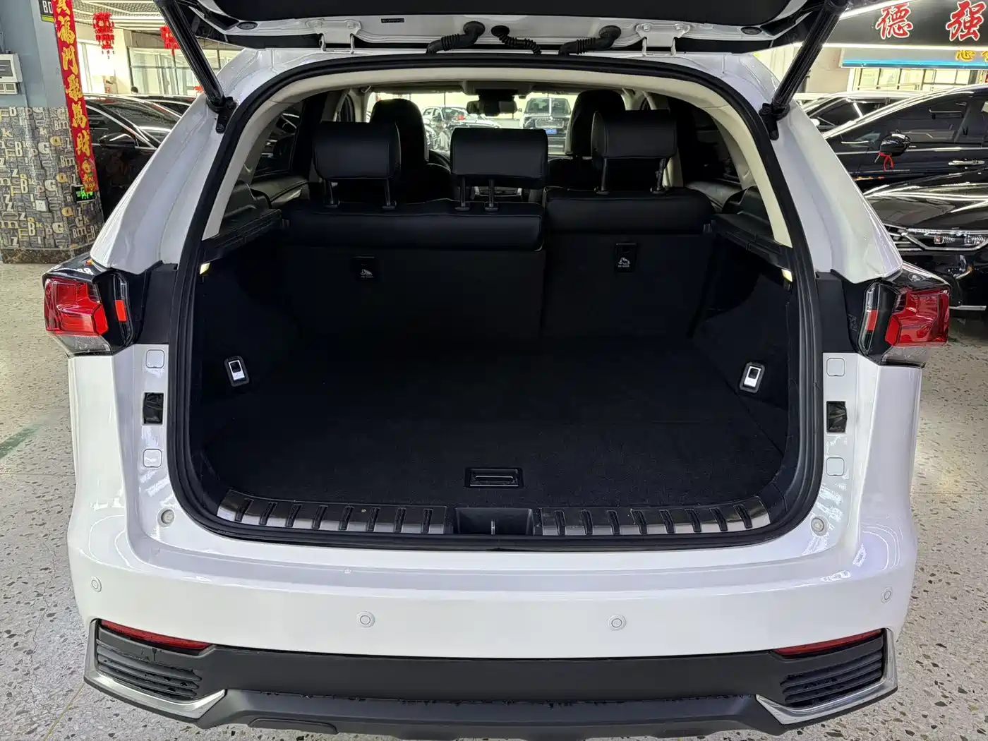 Lexus NX 2020 200 AWD F Sport China VI фото 10