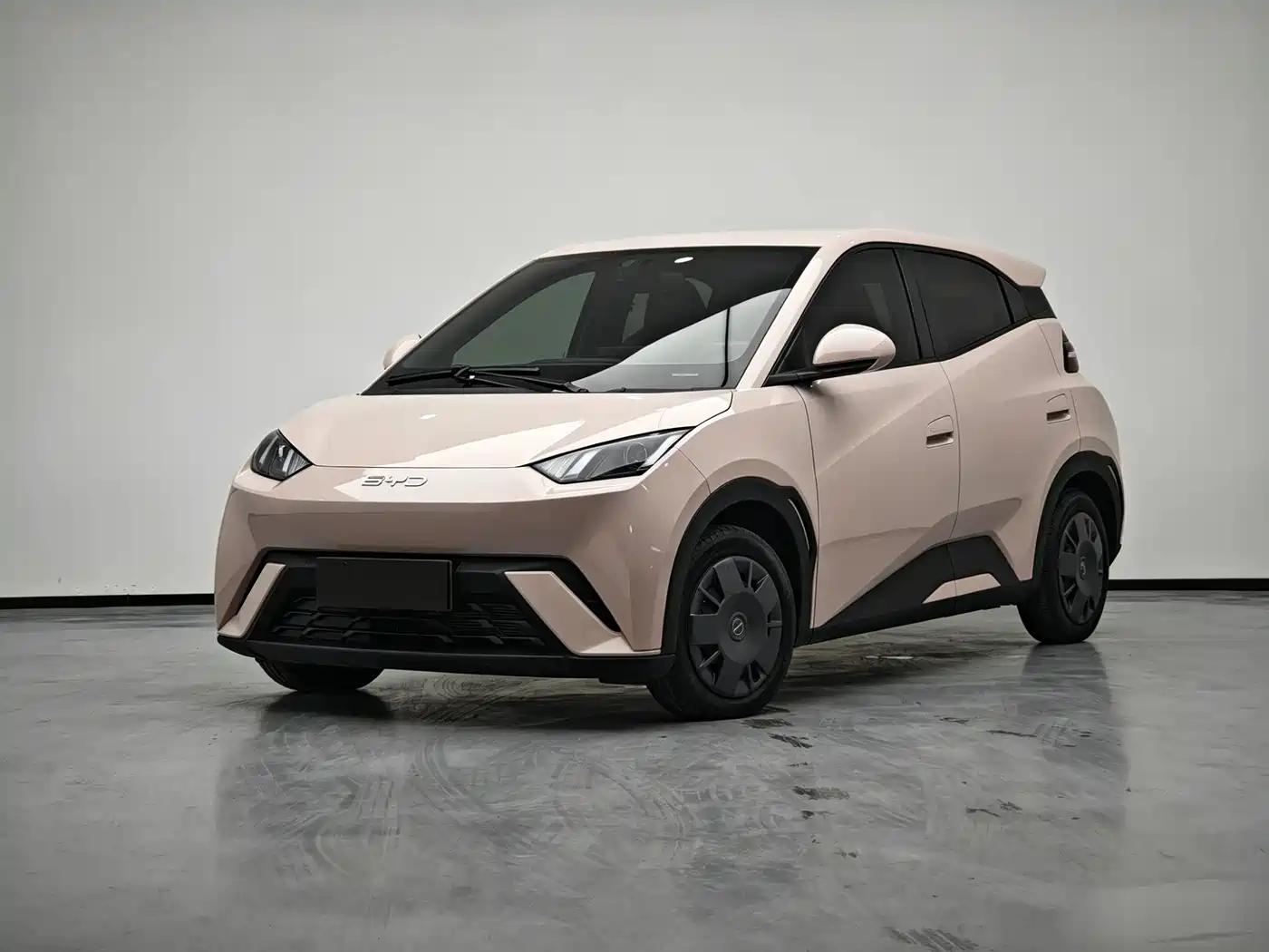 BYD Seagull 2024 Glory Edition 305km Vitality Edition