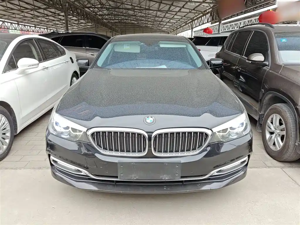 BMW 5 Series 2018 530Li xDrive Luxury Package фото 3