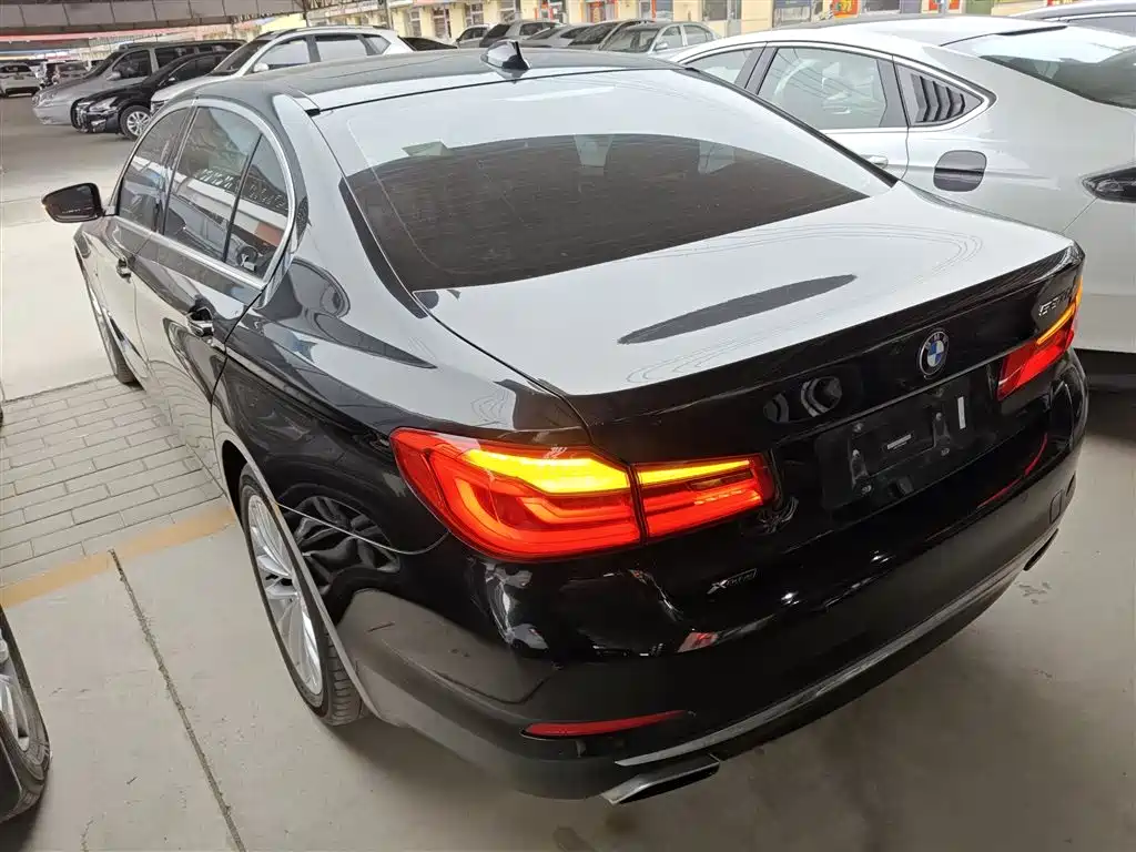 BMW 5 Series 2018 530Li xDrive Luxury Package фото 5