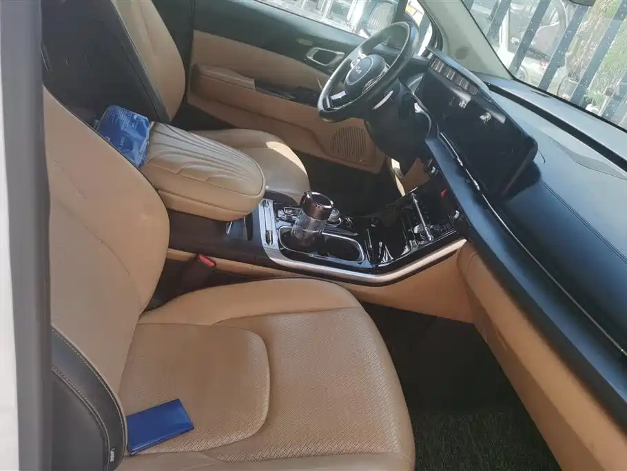 Kia Carnival 2021 2.0T Flagship Edition фото 8