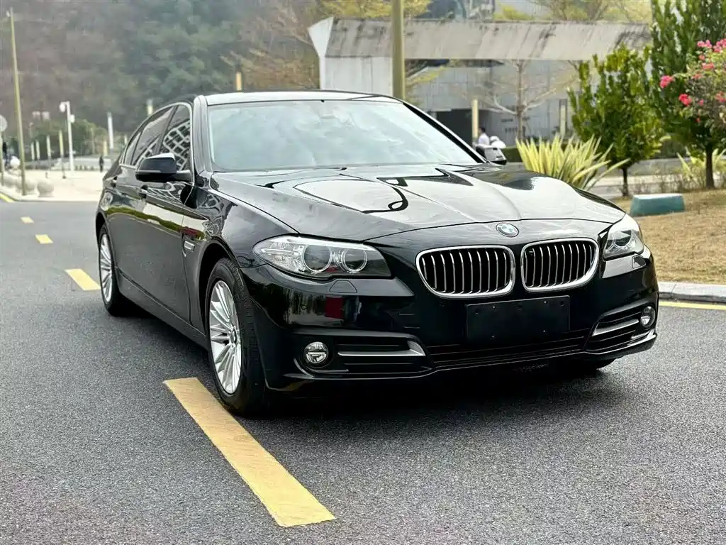 BMW 5 Series 2014 525Li Leading фото 23