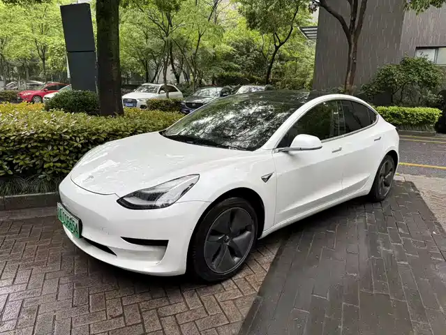 TESLA MODEL 3 (IMPORTED) 2019