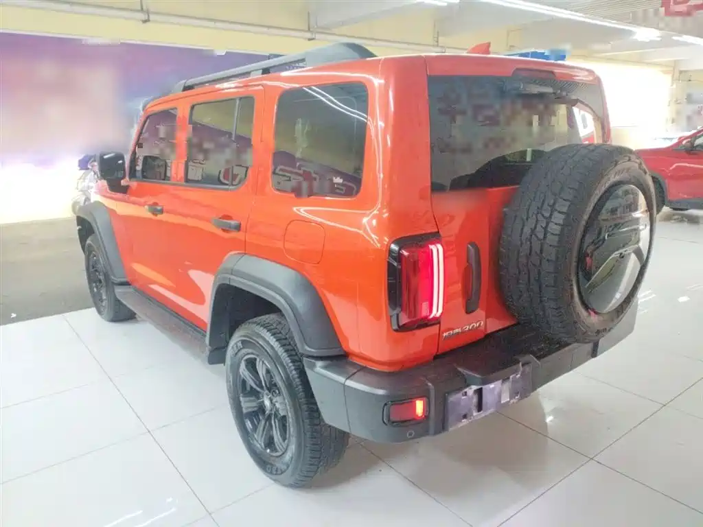 Tank 300 2021 Off-road Version 2.0T Conqueror фото 24
