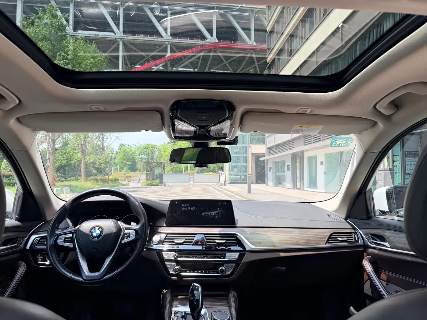 BMW 5 Series 2019 530Li xDrive Luxury Package фото 15