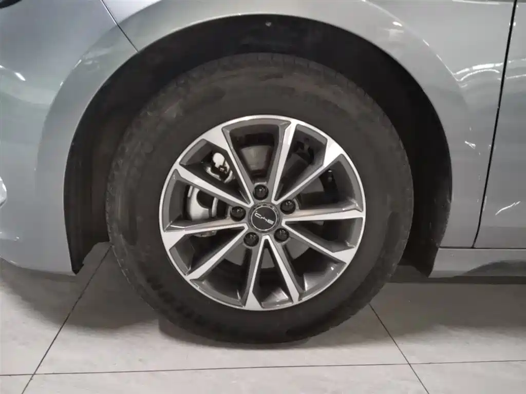 BYD Destroyer 05 2024 Glory Edition DM-i 55KM Luxury фото 23