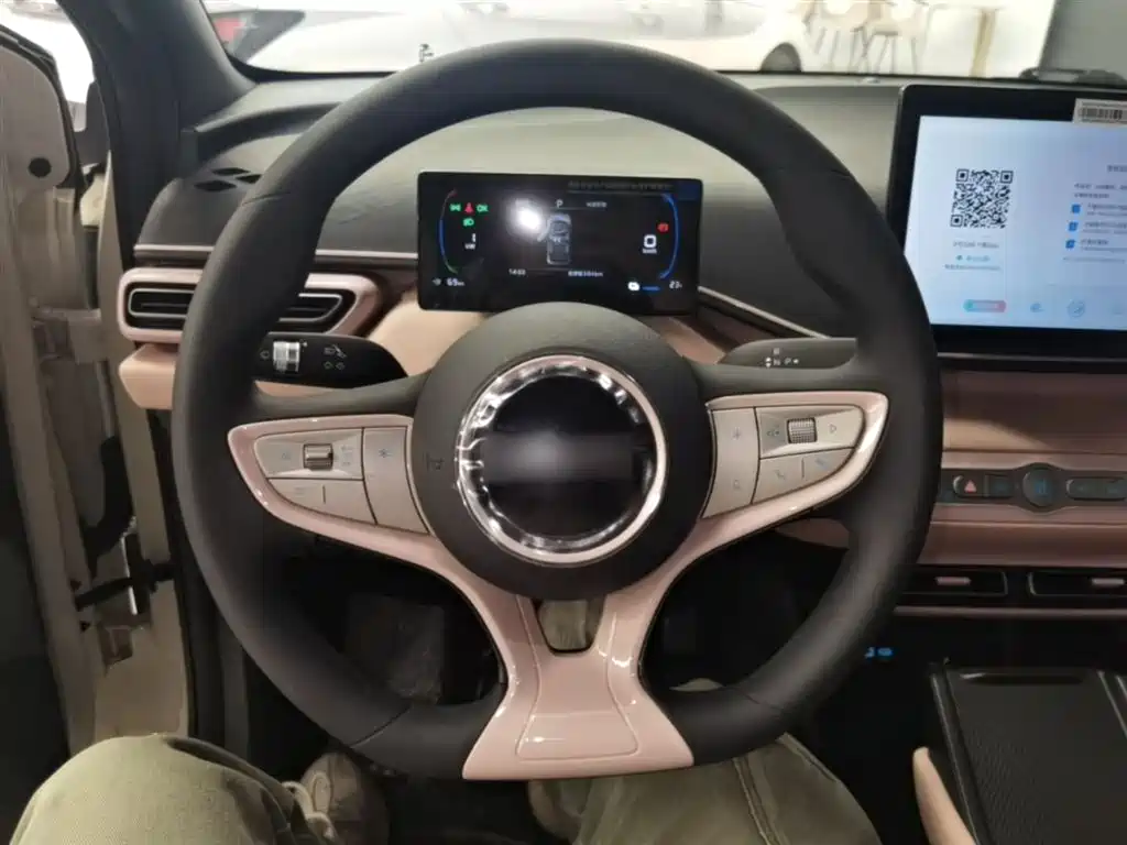 BYD Seagull 2025 Smart Drive Edition 305km Vitality Version фото 11