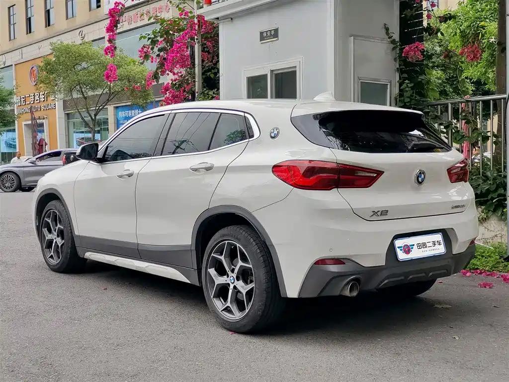 BMW X2 (Import) 2019 sDrive20i M Off-Road Package China VI фото 4