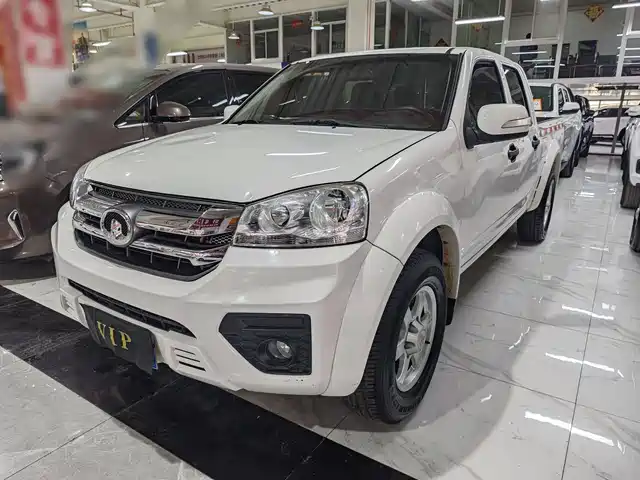 GREAT WALL FENGJUN 5