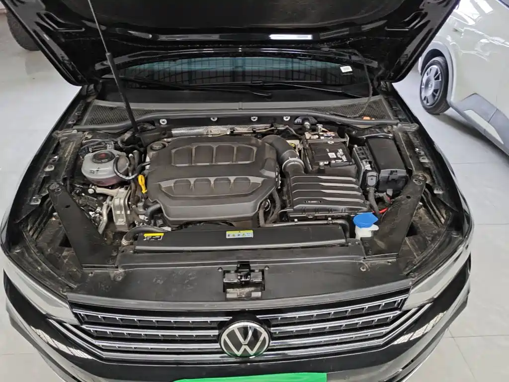 Volkswagen Magotan 2026 2026 Model 30 Million Special Selection 380TSI DSG Luxury