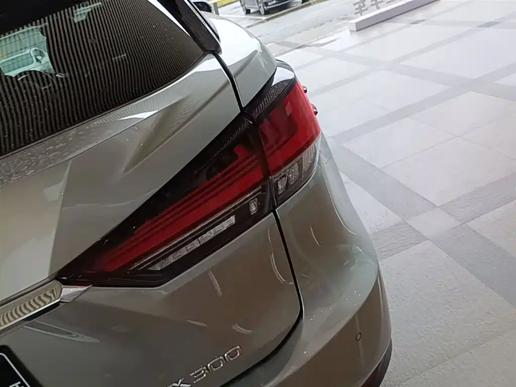Lexus RX 2020 300 4WD Elegance Edition China VI фото 8