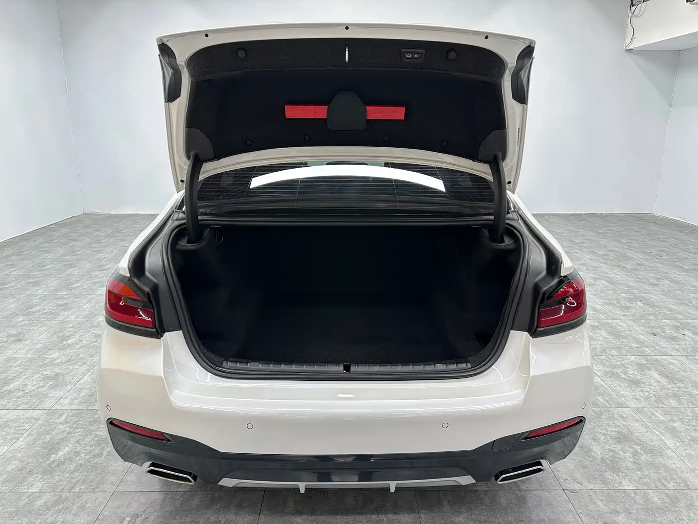 BMW 5 Series 2023 530Li Leading M Sport Package фото 10